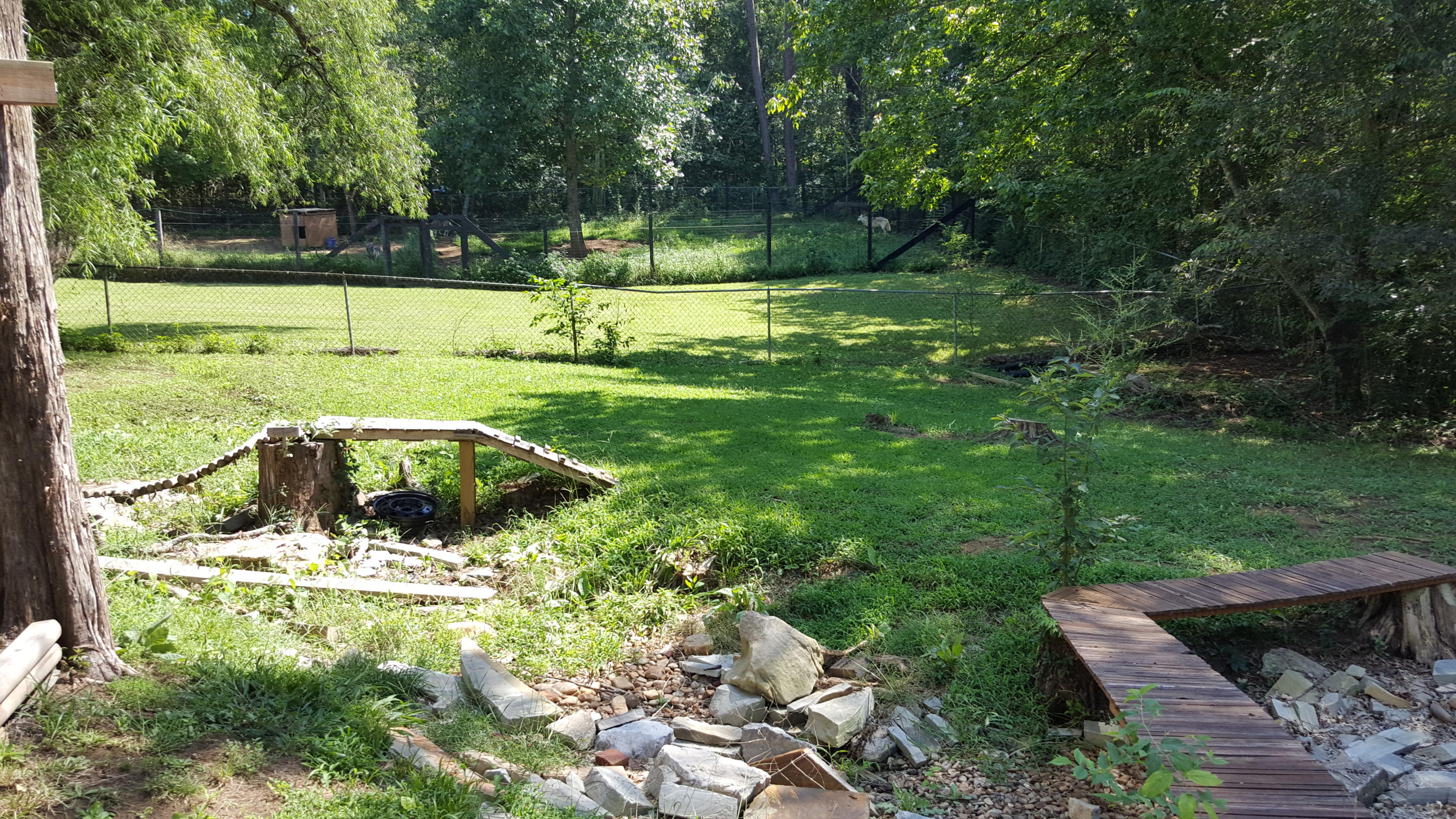 3427 Ralph Phelps Road Louisville, TN 37777 - Photo 33 of 34 Yard view from tree house