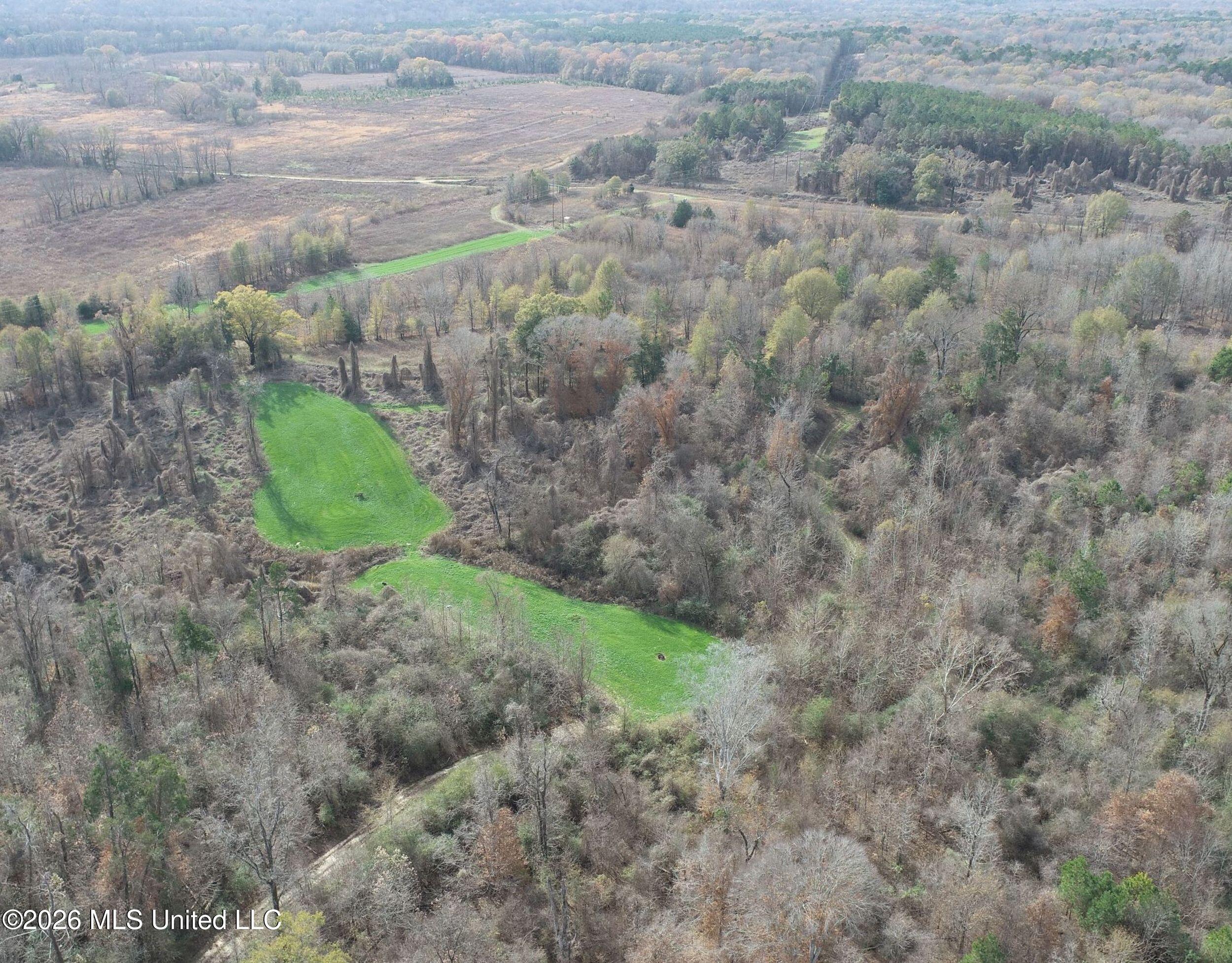 Chinqupin Road Lexington, MS 39095 - Photo 52 of 210 5chqpn38