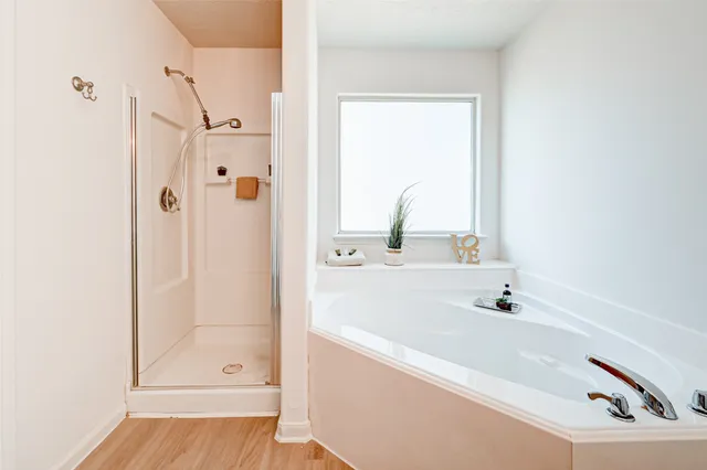 a bathroom with a bathtub and a shower