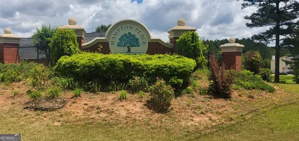 a view of a garden with plants