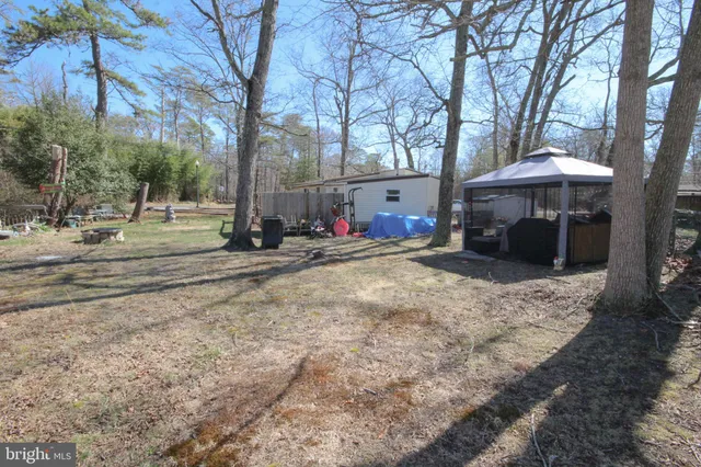 a view of a street with a large tree