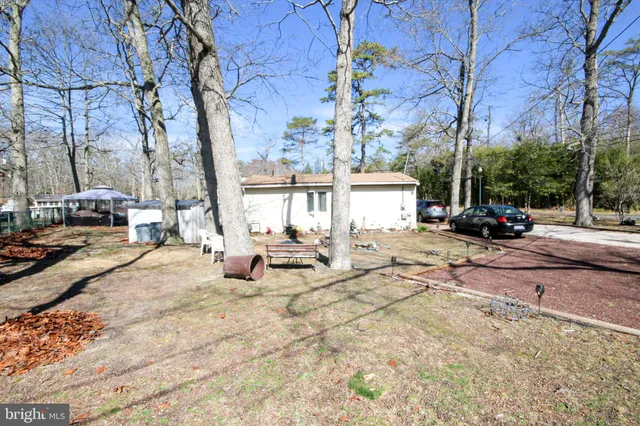 a view of a park with bench and trees