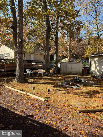 a view of a yard with a tree