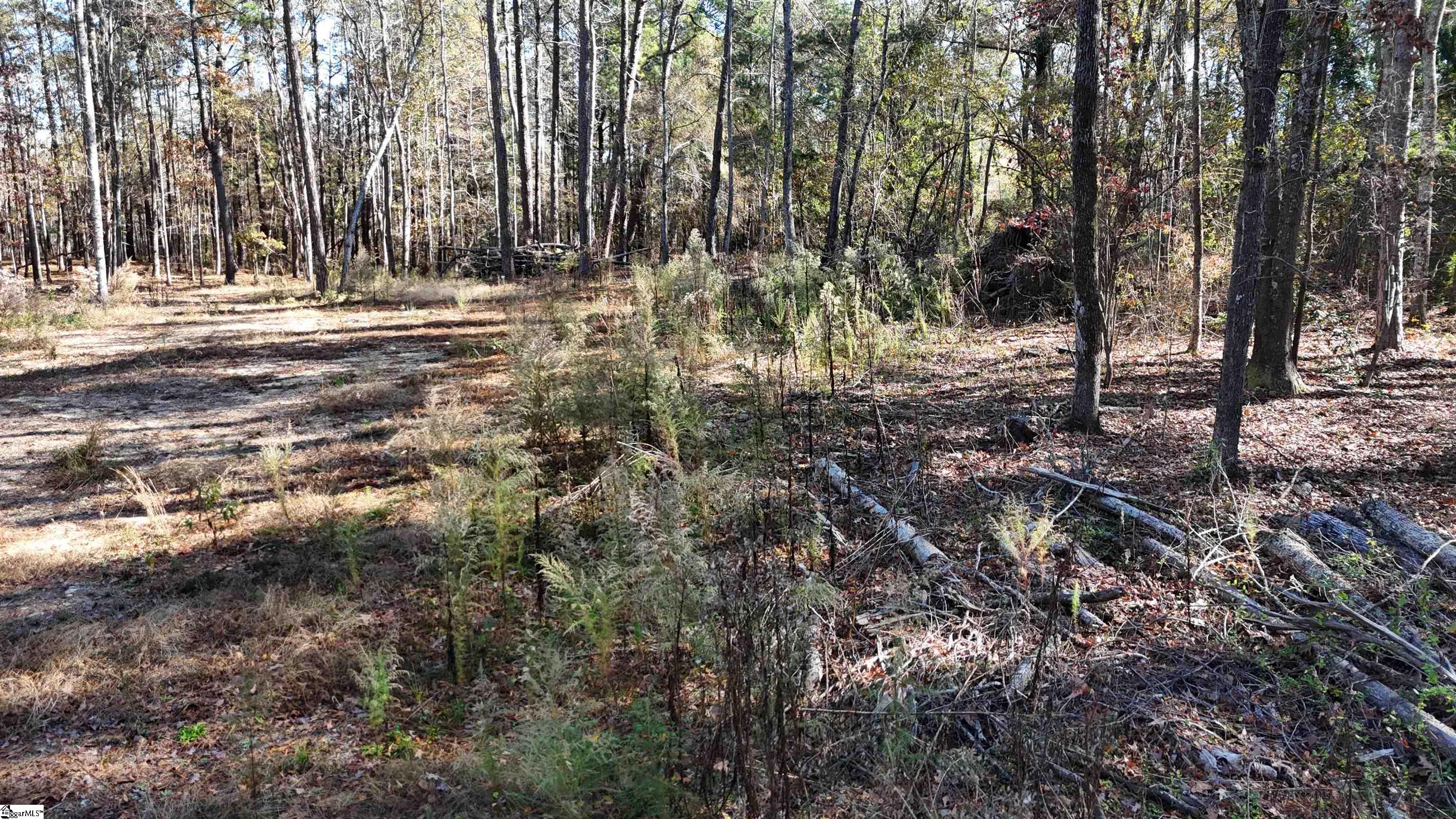 36 State Rd S-28-134 Lugoff, SC 29078 - Photo 4 of 7