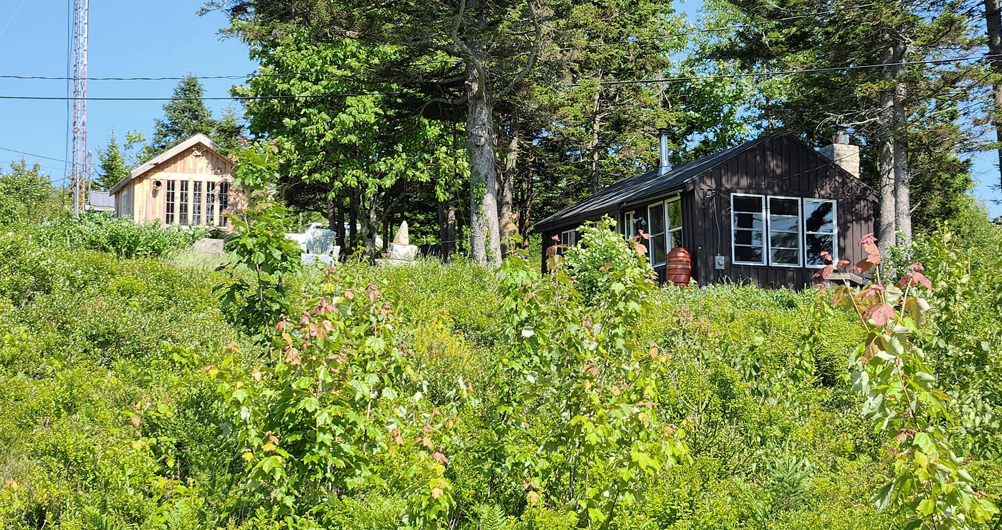 533 Mt Ephraim Road Searsport, ME 04974 - Photo 39 of 70