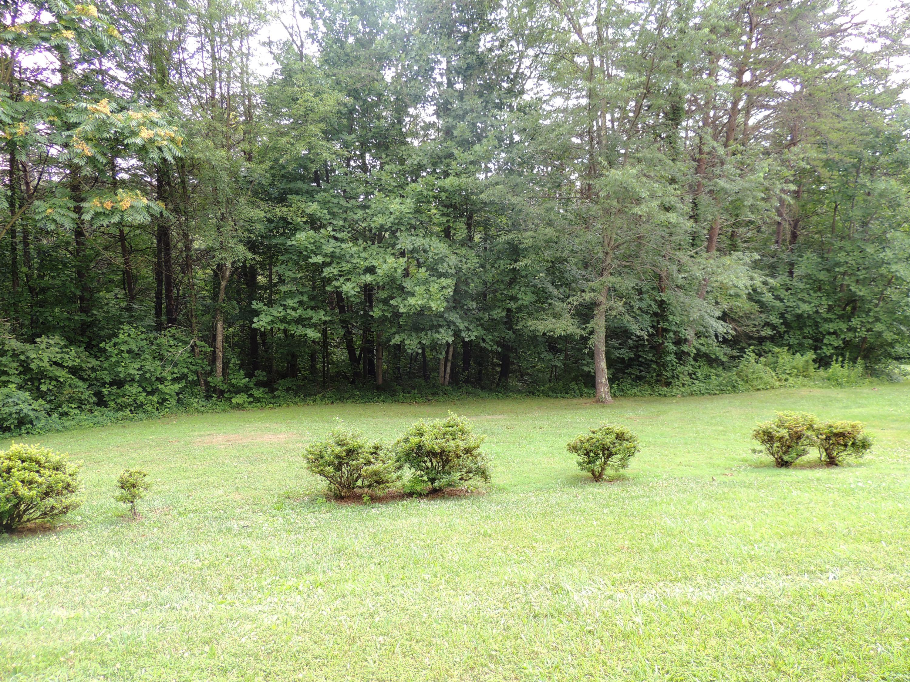 5426 Keffer Road Catawba, VA 24070 - Photo 5 of 30 Front Yard