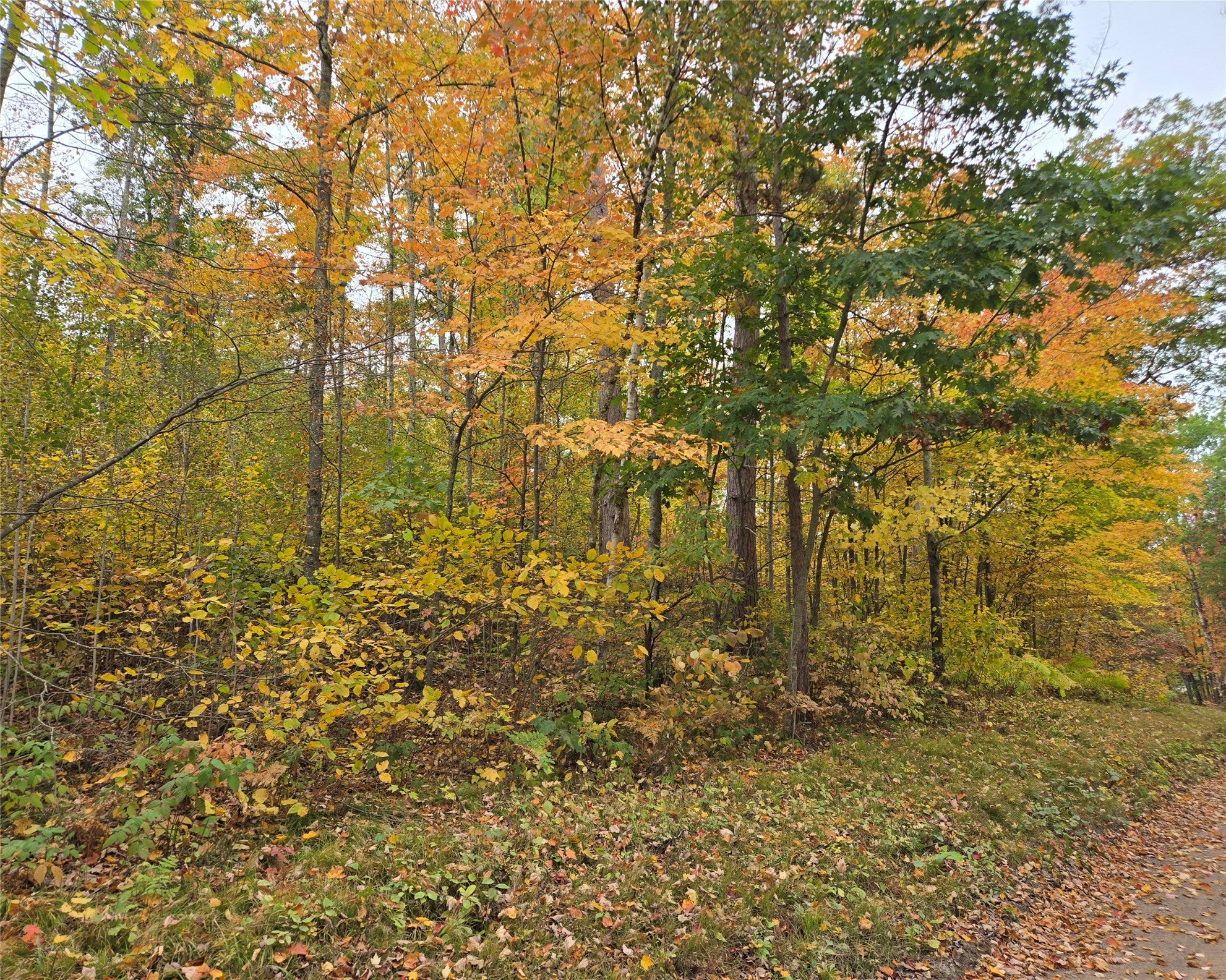 16119 Henks Road Hayward, WI 54843 - Photo 3 of 9 Gallery Image 3