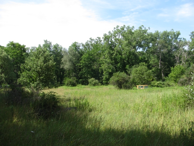 4302 County Rte 70A Howard, NY 14810 - Photo 1 of 1