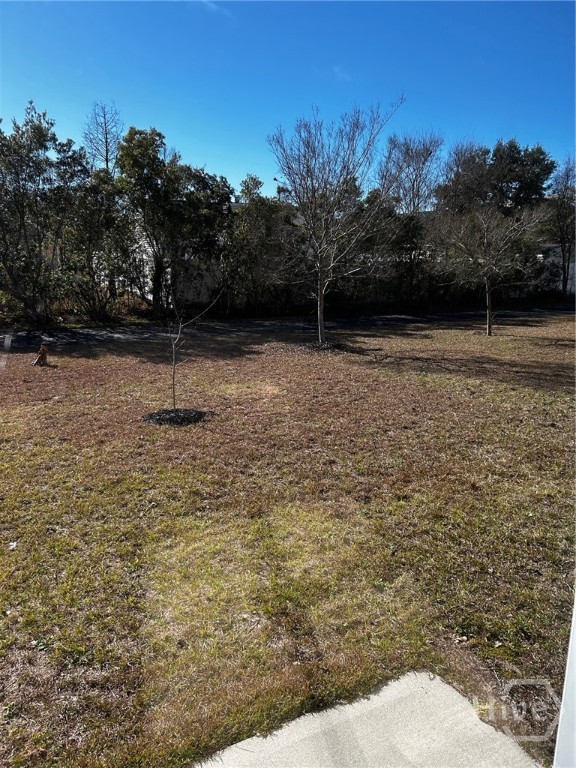 339 Hitching Post Lane Pooler, GA 31322 - Photo 31 of 31