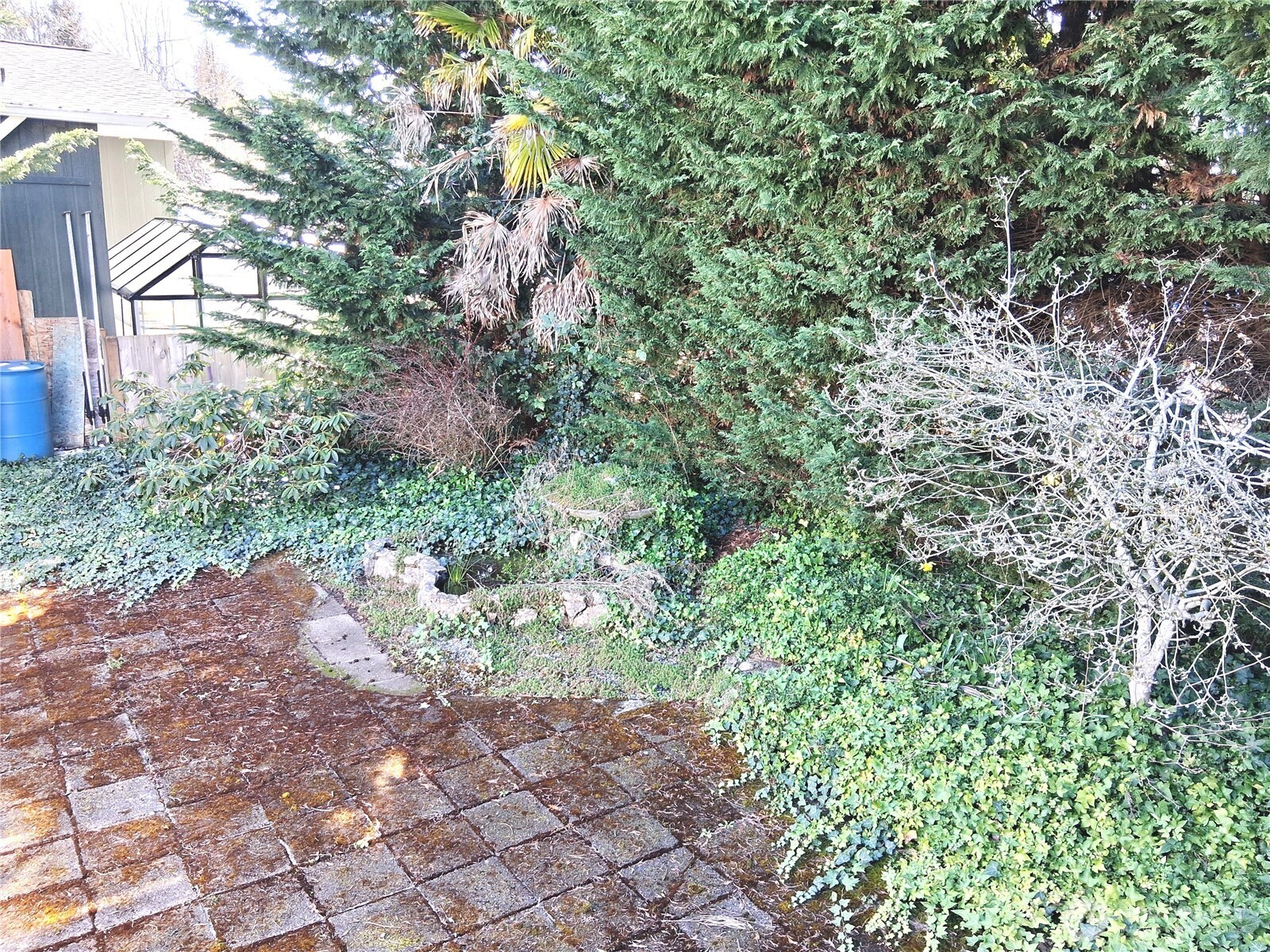 815 124th Street Southwest, Unit 36 Everett, WA 98204 - Photo 26 of 32 a view of a yard with plants and large trees