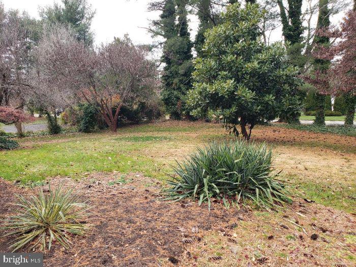 100 Forest Road Moorestown, NJ 08057 - Photo 23 of 24 Gallery Image 23