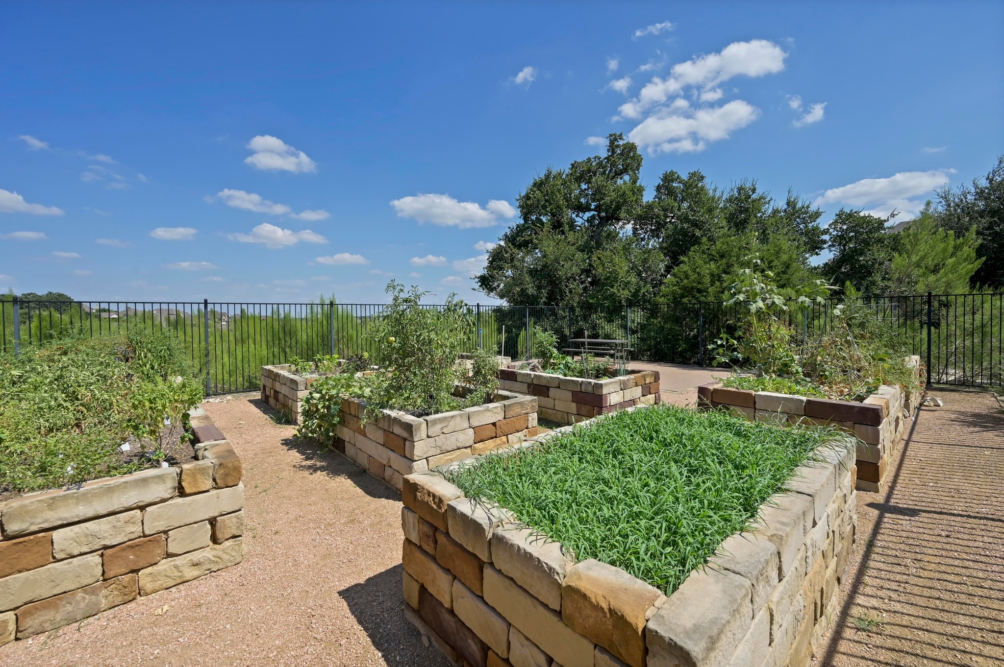 68 Rancho Trail Georgetown, TX 78628 - Photo 33 of 39 Cultivate fresh produce in these meticulously crafted stone raised garden beds, offering a tranquil outdoor retreat.