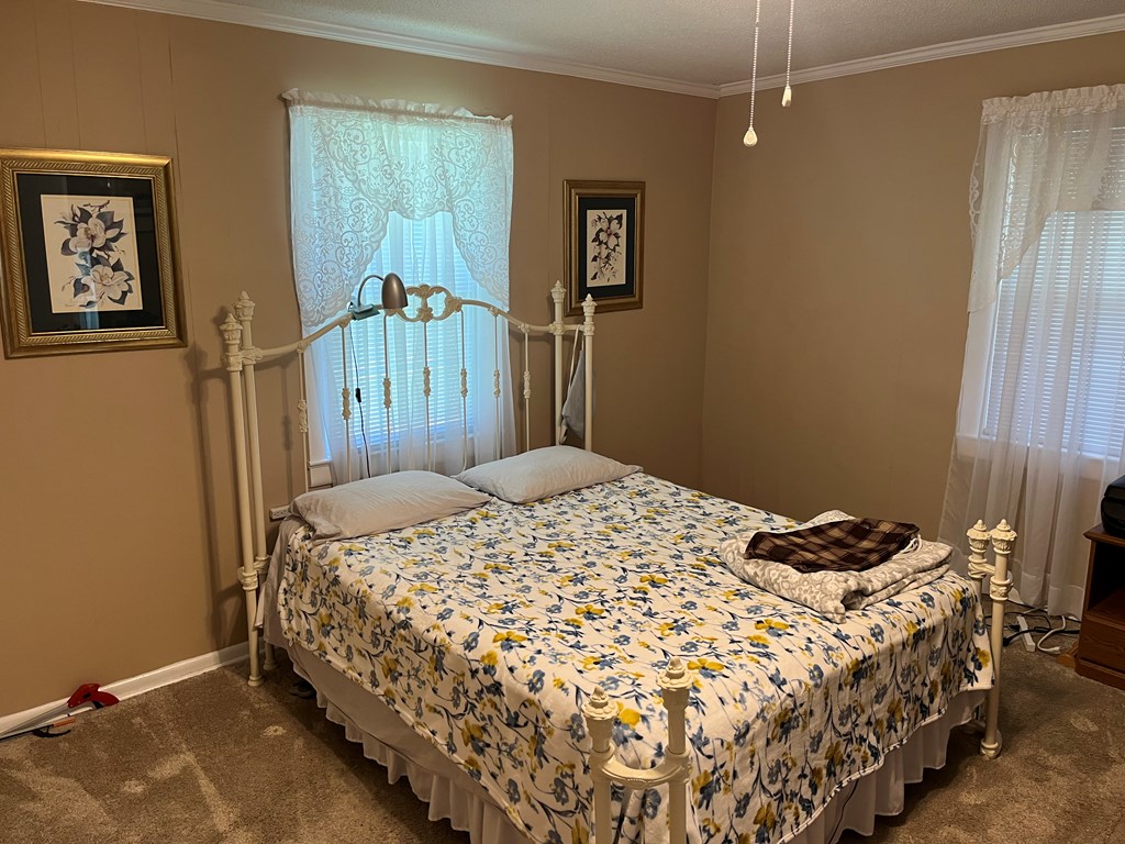 455 Hickory Grove Road Abbeville, AL 36310 - Photo 11 of 12