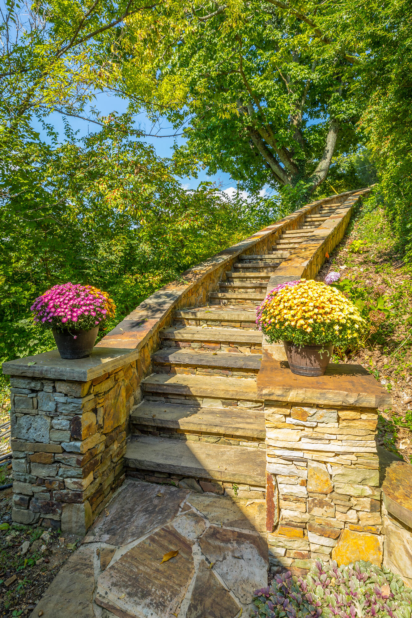 1707 Minnekahda Road Chattanooga, TN 37405 - Photo 26 of 90 1707 Minnekahda Rd. HD-102