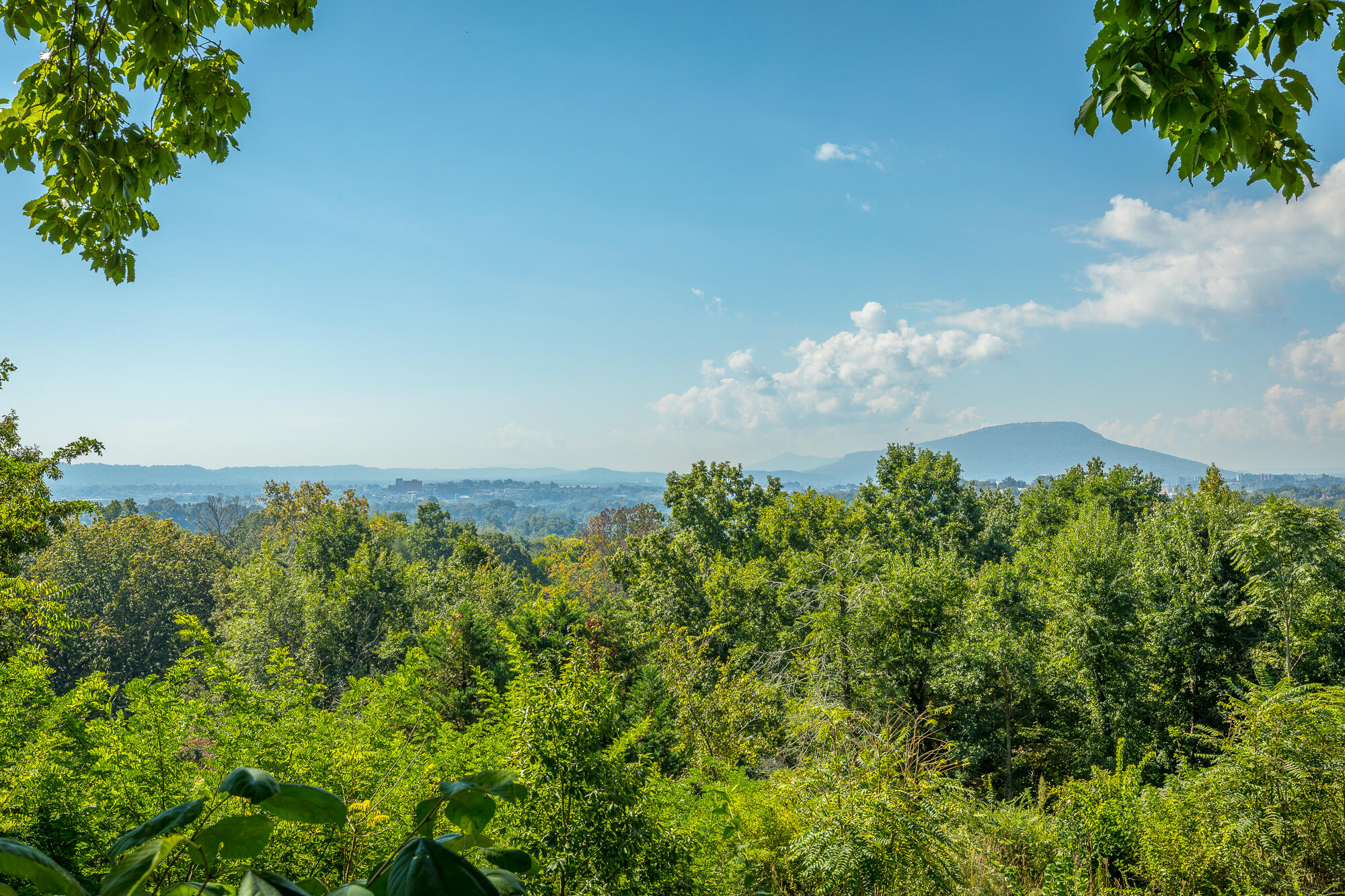 1707 Minnekahda Road Chattanooga, TN 37405 - Photo 72 of 90 1707 Minnekahda Rd. HD-106