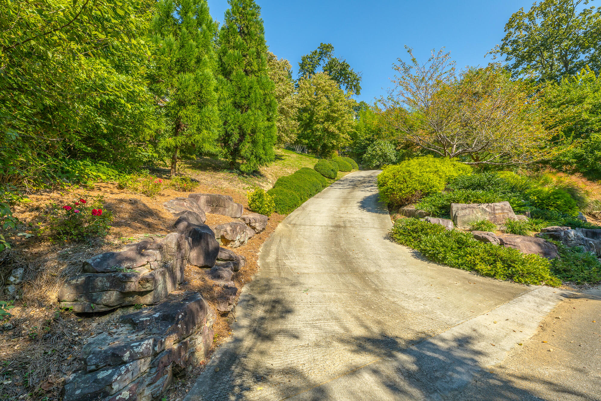 1707 Minnekahda Road Chattanooga, TN 37405 - Photo 84 of 90 1707 Minnekahda Rd. HD-126