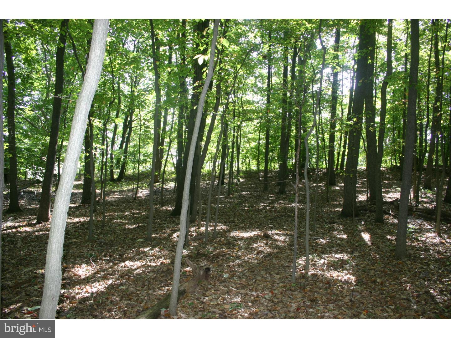 346 Rock Raymond Road Downingtown, PA 19335 - Photo 6 of 9 Gallery Image 6