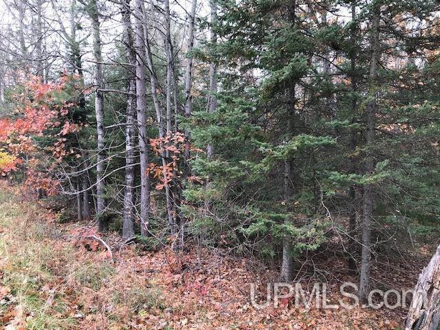 T-wi Wi 54121 Road Florence, WI 54121 - Photo 2 of 14