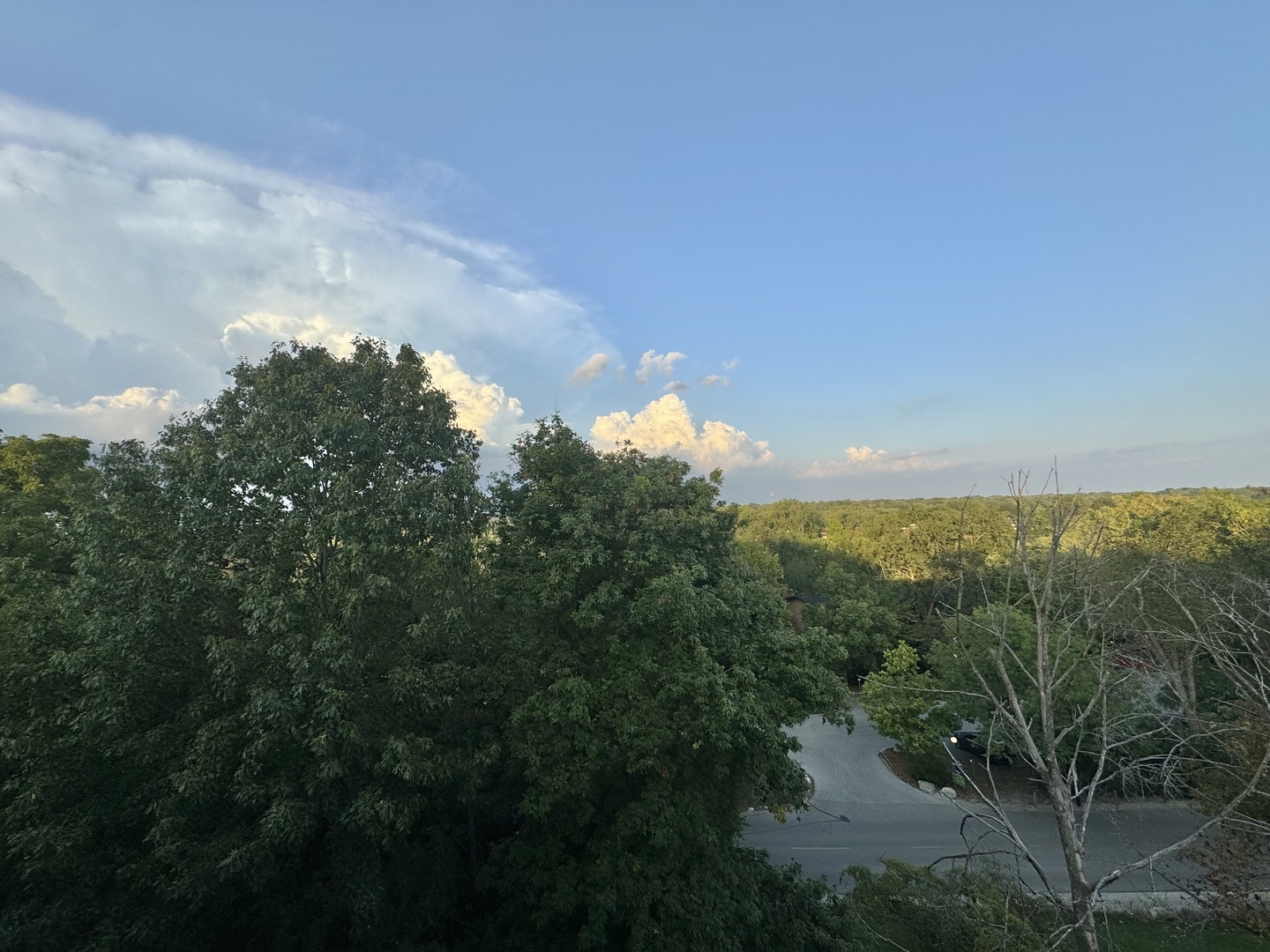 5600 Hillcrest Lane, Unit 3D Lisle, IL 60532 - Photo 22 of 25