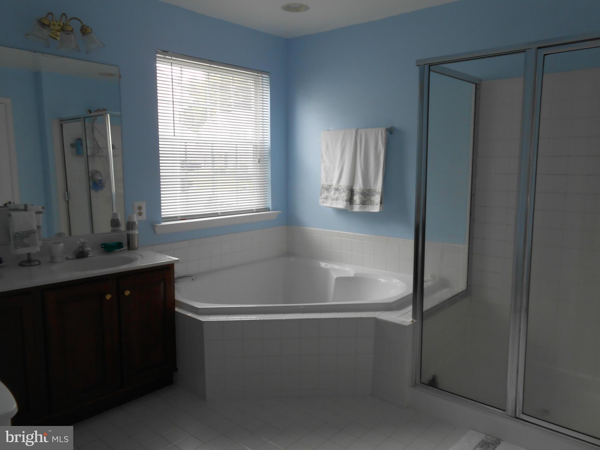 311 Powdersby Road Joppa, MD 21085 - Photo 13 of 29 Bath (Master)