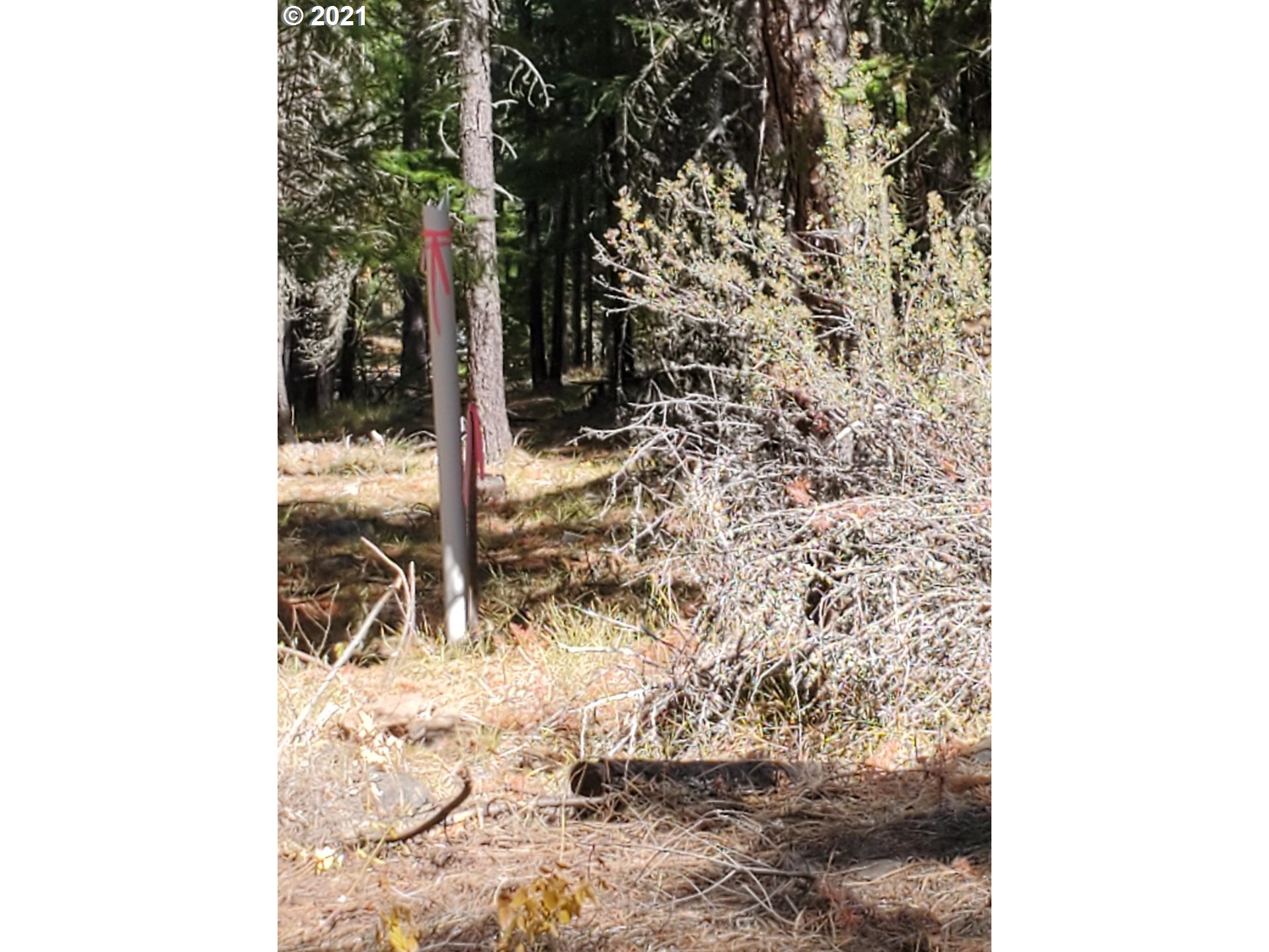 22 Calvary Hill Road Goldendale, WA 98620 - Photo 2 of 12 Gallery Image 2