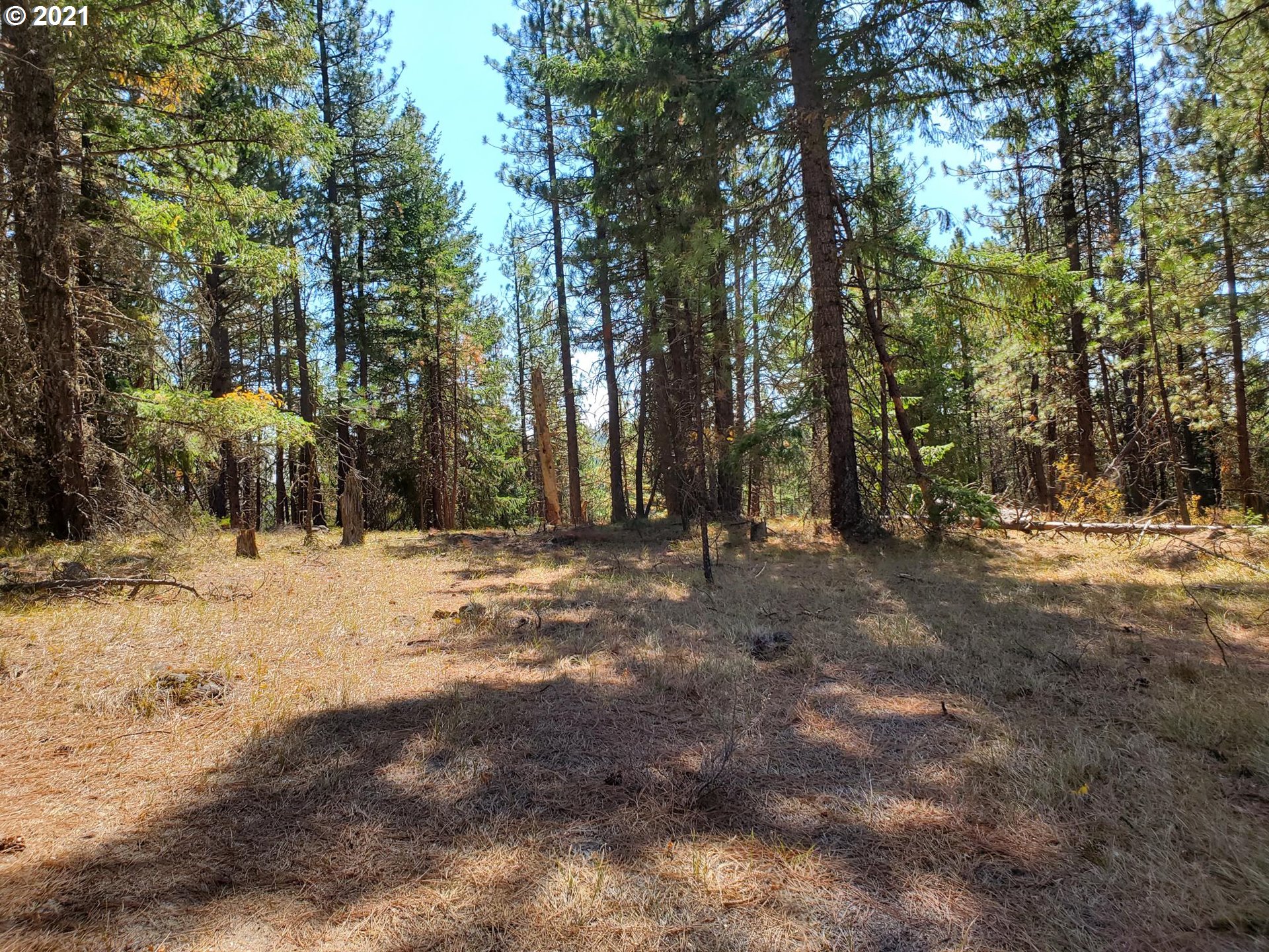 22 Calvary Hill Road Goldendale, WA 98620 - Photo 8 of 12 Gallery Image 8