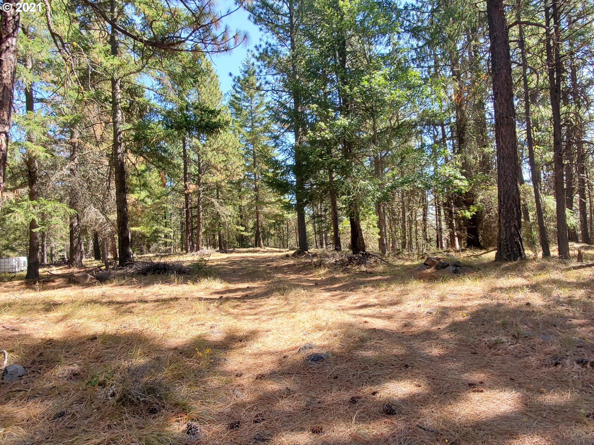 22 Calvary Hill Road Goldendale, WA 98620 - Photo 10 of 12 Gallery Image 10