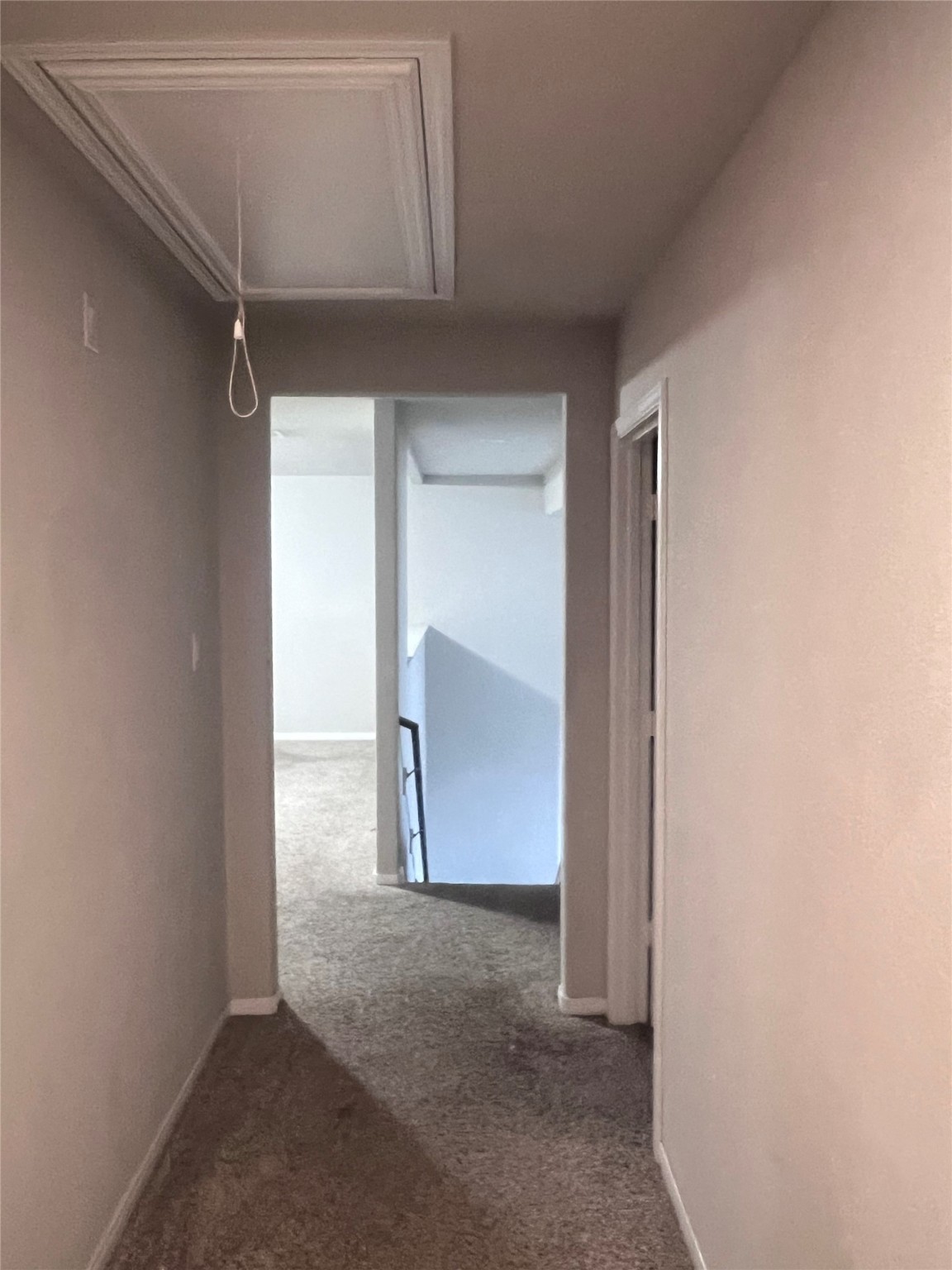 8010 Farthing Lane Rosharon, TX 77583 - Photo 16 of 21