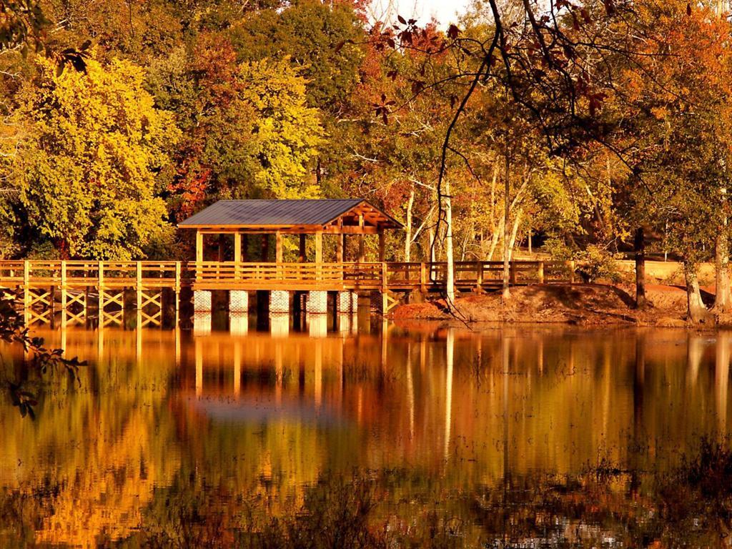 380 Front Street North Augusta, SC 29841 - Photo 4 of 11 COVERED BRIDGE (Large)