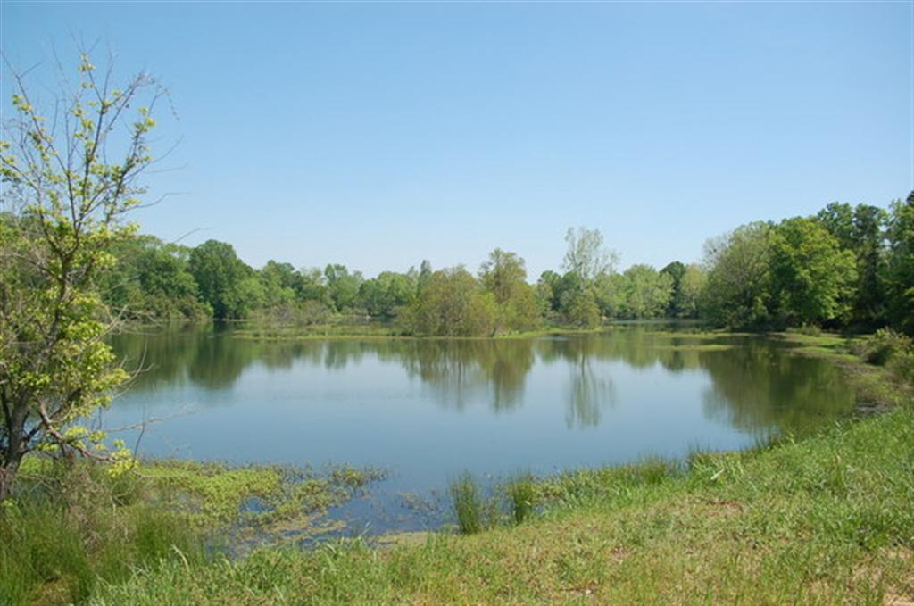 380 Front Street North Augusta, SC 29841 - Photo 7 of 11 POND (Large)