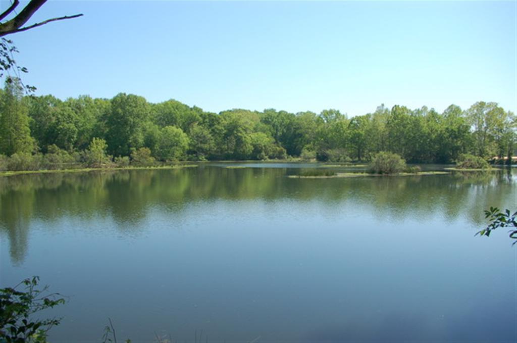 380 Front Street North Augusta, SC 29841 - Photo 8 of 11 RIVER VIEW (Large)