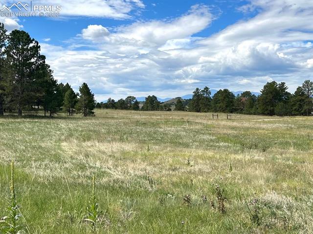 13881 South Delbert Road Elbert, CO 80106 - Photo 5 of 7