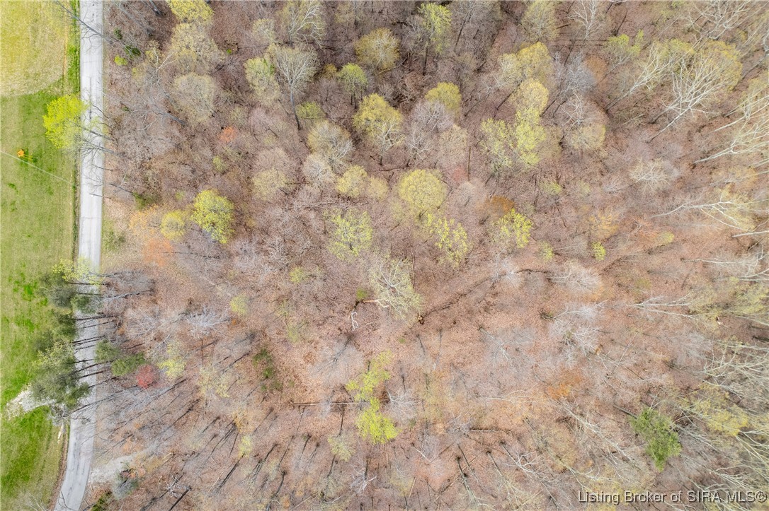 26406 Bartle Knob Road Memphis, TN 47106 - Photo 12 of 25