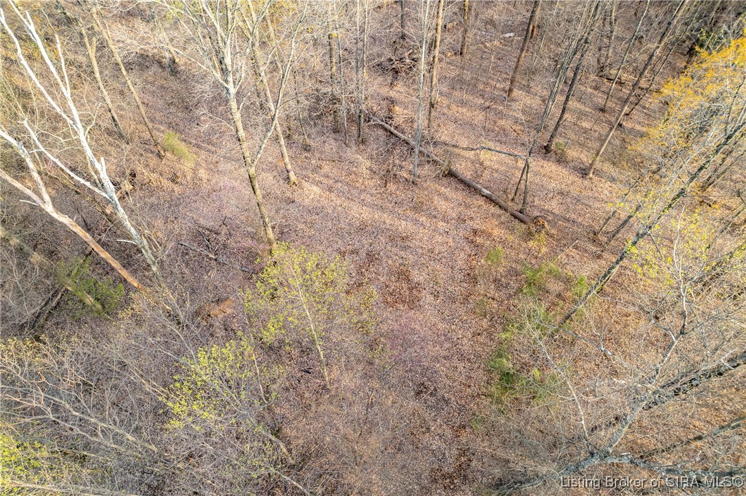 26406 Bartle Knob Road Memphis, TN 47106 - Photo 16 of 25