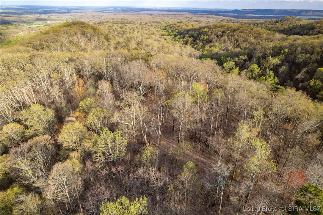 26406 Bartle Knob Road Memphis, TN 47106 - Photo 23 of 25