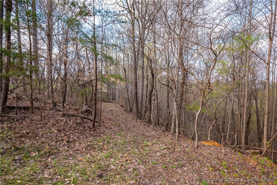 26406 Bartle Knob Road Memphis, TN 47106 - Photo 4 of 25