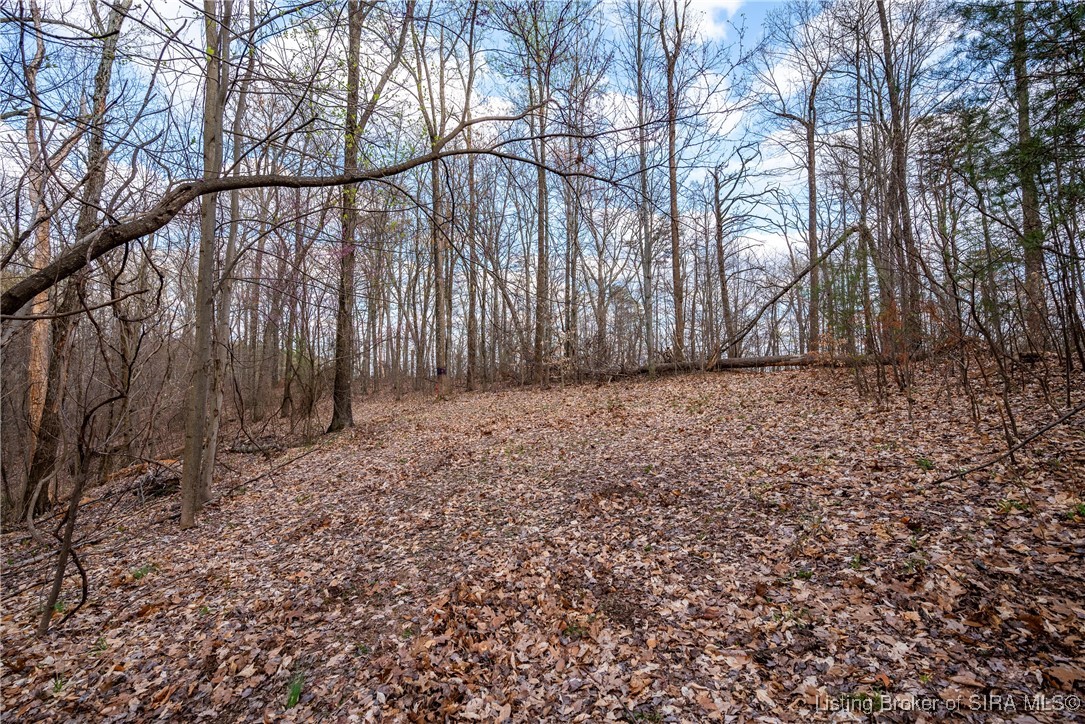 26406 Bartle Knob Road Memphis, TN 47106 - Photo 6 of 25