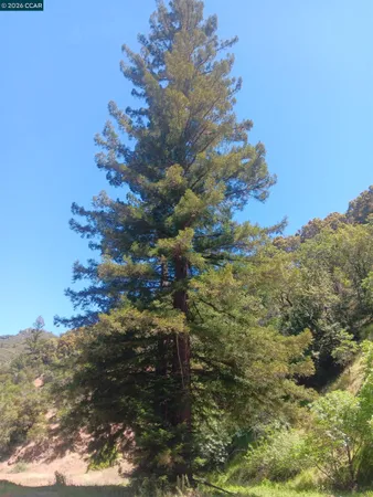 $85,000 | 56025 Highway 101, Laytonville, CA 95454