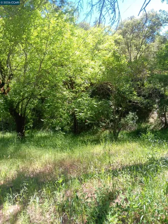 $85,000 | 56025 Highway 101, Laytonville, CA 95454