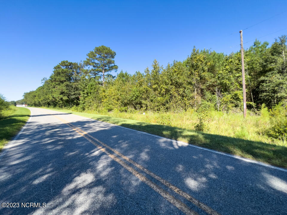 0 Trinity Church Road Magnolia, NC 28453 - Photo 18 of 47 18