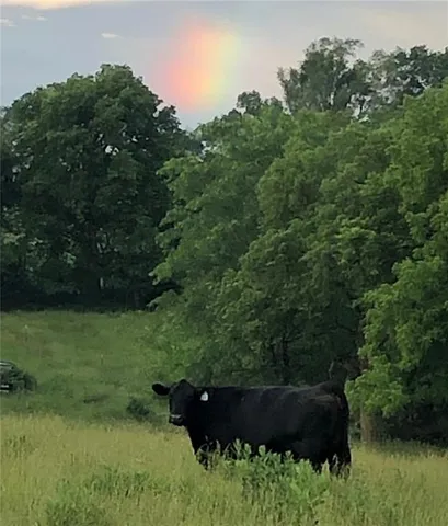 $464,760 | Southeast 95th Road Southeast, Agency, MO 64401