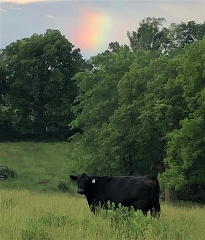 Southeast 95th Road Southeast Agency, MO 64401 - Photo 12 of 17