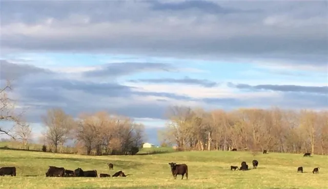 $464,760 | Southeast 95th Road Southeast, Agency, MO 64401