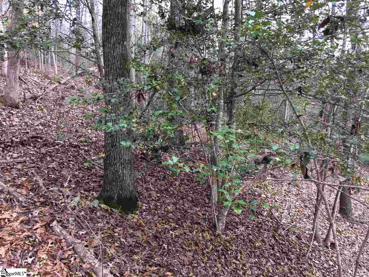 1201 Goodwin Bridge Road Travelers Rest, SC 29690 - Photo 25 of 25
