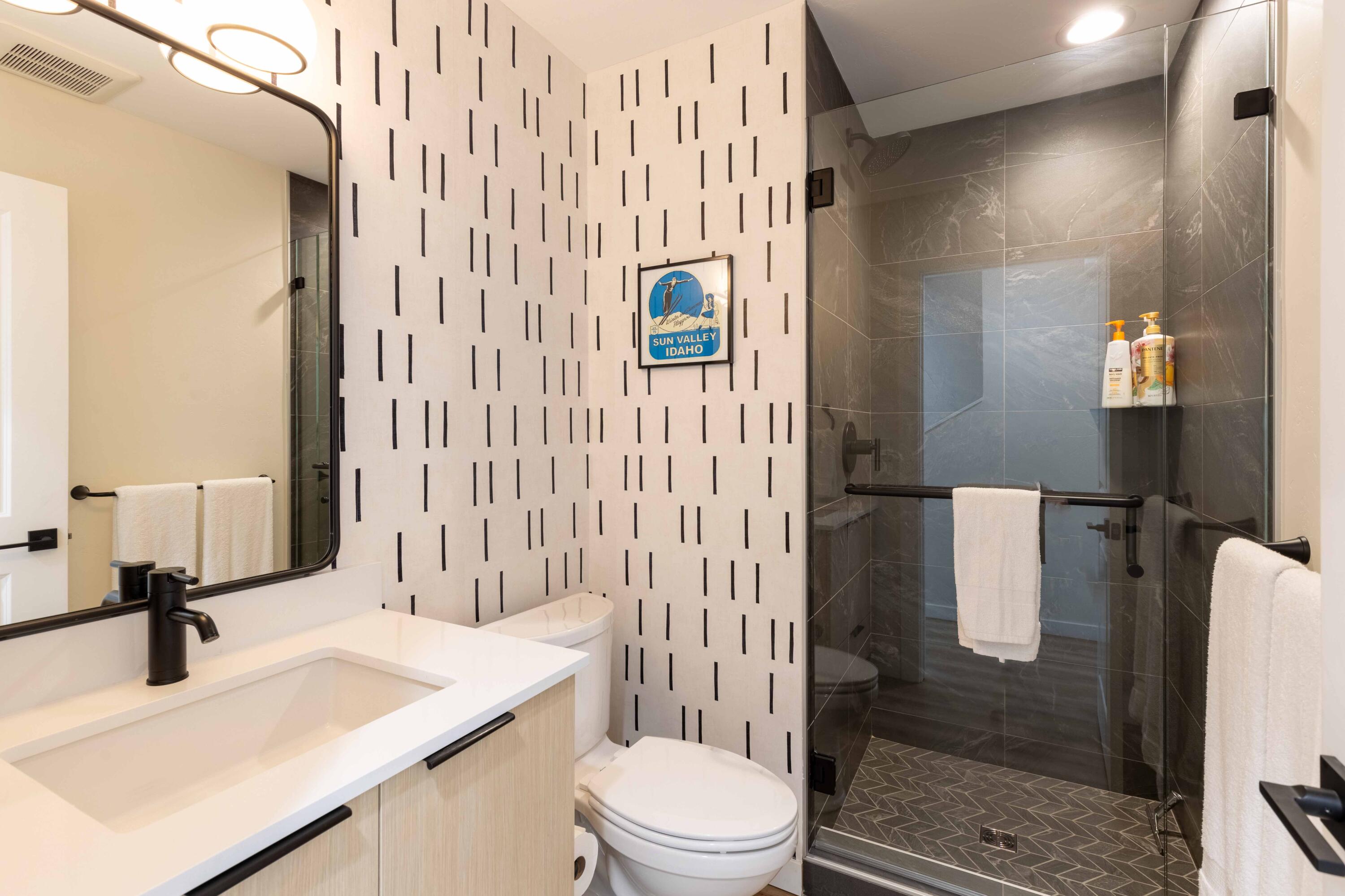 410 North River Street, Unit 9 Hailey, ID 83333 - Photo 10 of 48 Bathroom 1