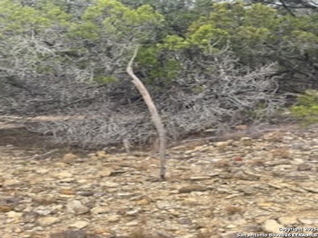 Tbd Center Pt Road Bandera, TX 78003 - Photo 4 of 5