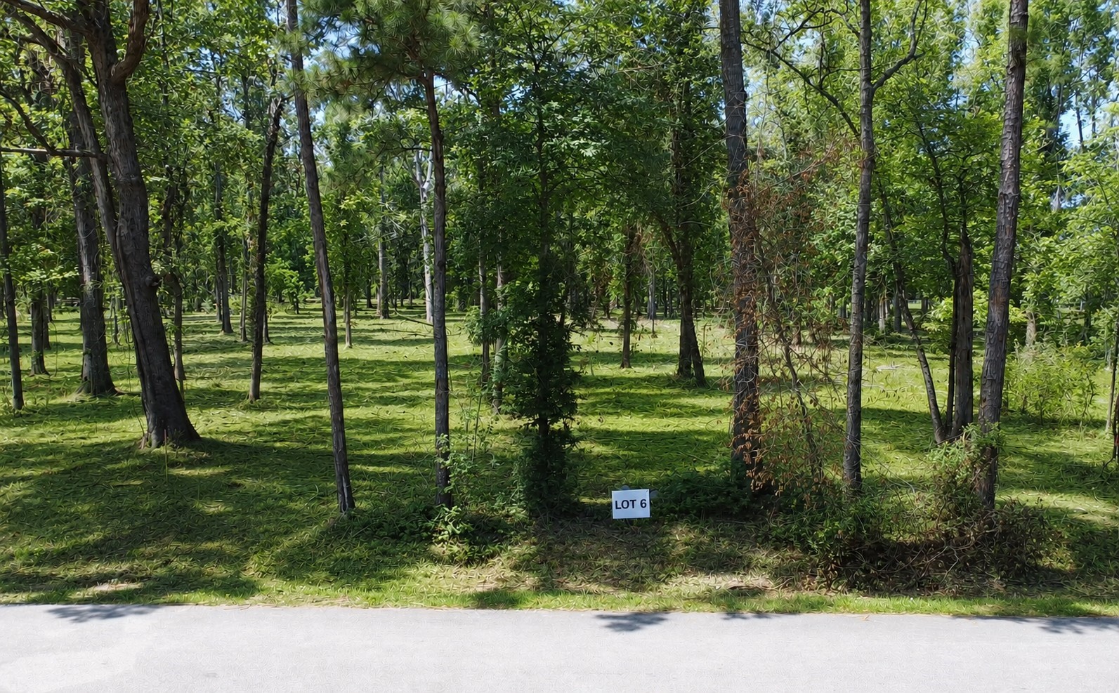 Tbd Tbd Crowley Road Conroe, TX 77306 - Photo 3 of 3 a view of a park