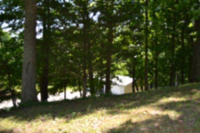 318 Rock Springs Road Celina, TN 38551 - Photo 70 of 87