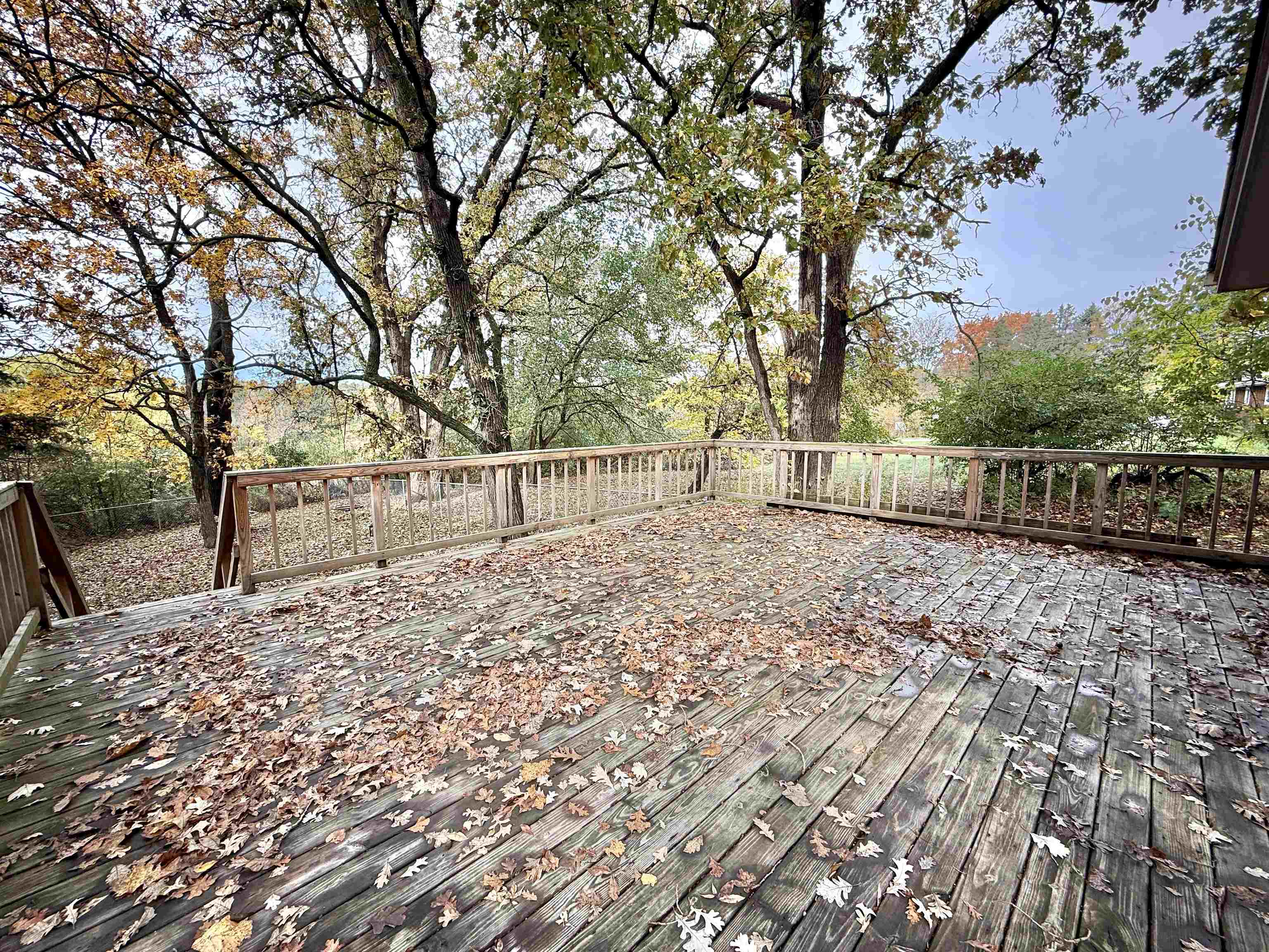 10620 Grover Oaks Road Roscoe, IL 61073 - Photo 28 of 32 a view of backyard and trees