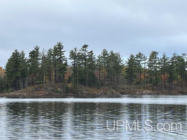 24380 Co Road Ishpeming, MI 49849 - Photo 61 of 92